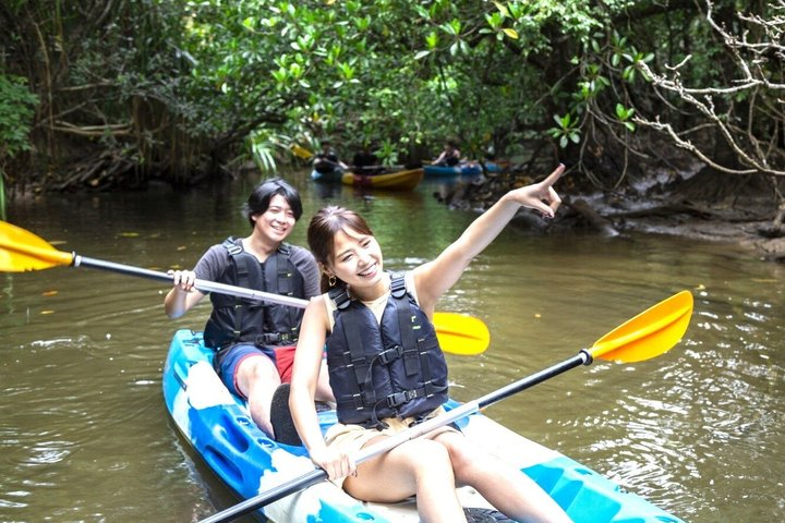 Okinawa Iriomote Mangrove SUP or Canoe Tour - Photo 1 of 18