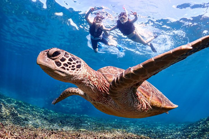 Okinawa Miyako 3set Beach SUP, Snorkeling,Pumpkin Cave,Canoeing - Photo 1 of 11