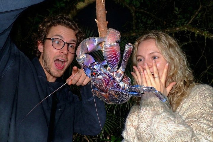 Miyako Island Night Tour Jungle Adventure Stargazing and Wildlife - Photo 1 of 25