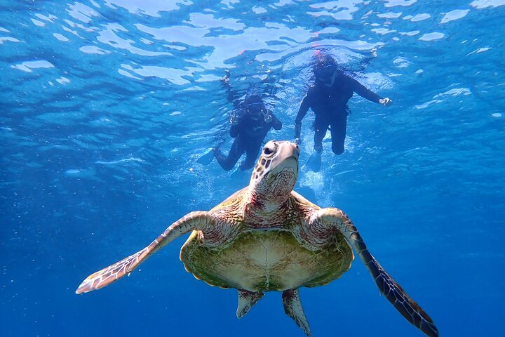 Okinawa Miyako Half Day SUP Canoe and Sea Turtle Snorkel - Photo 1 of 11