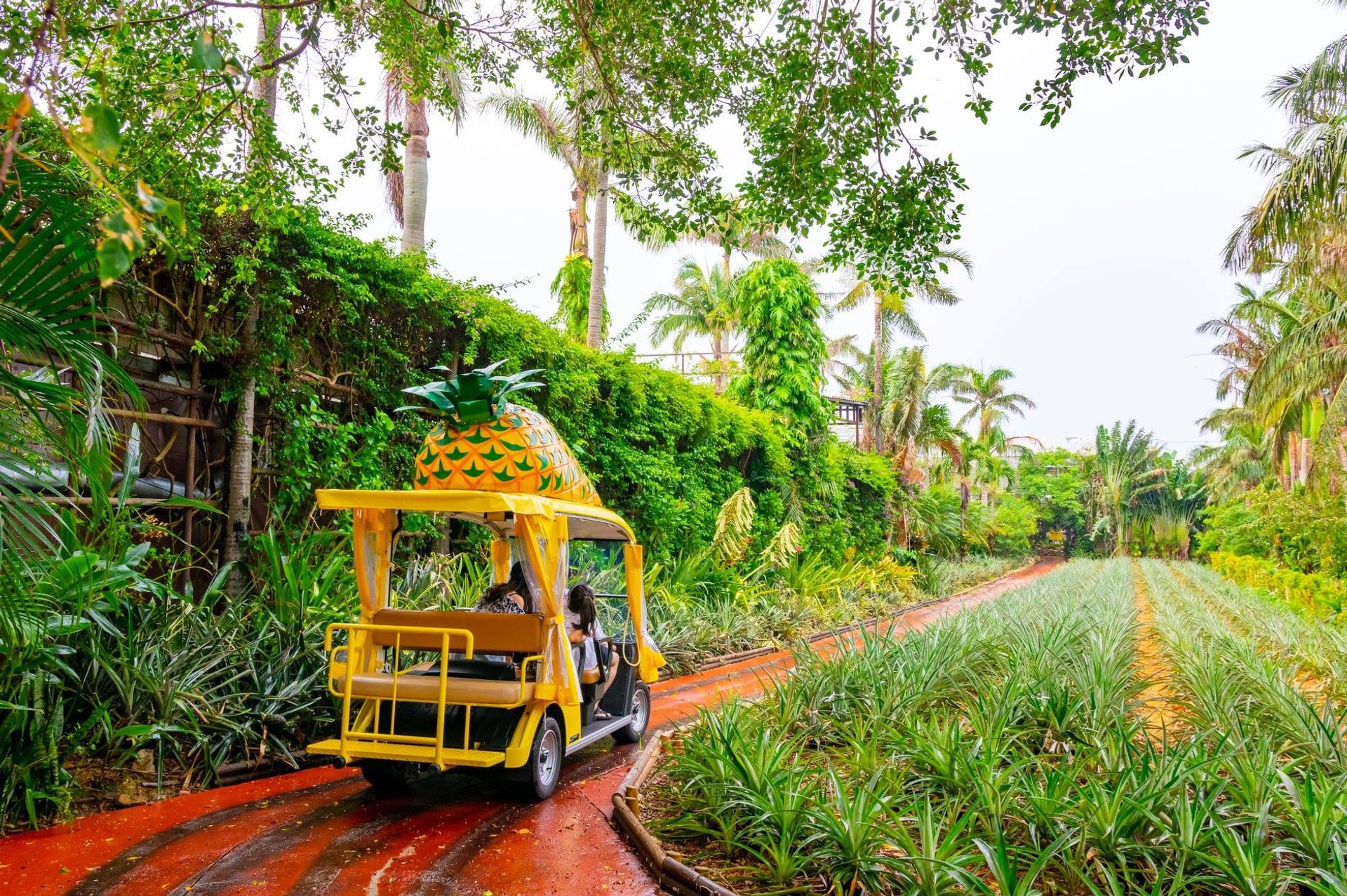 nago pineapple park