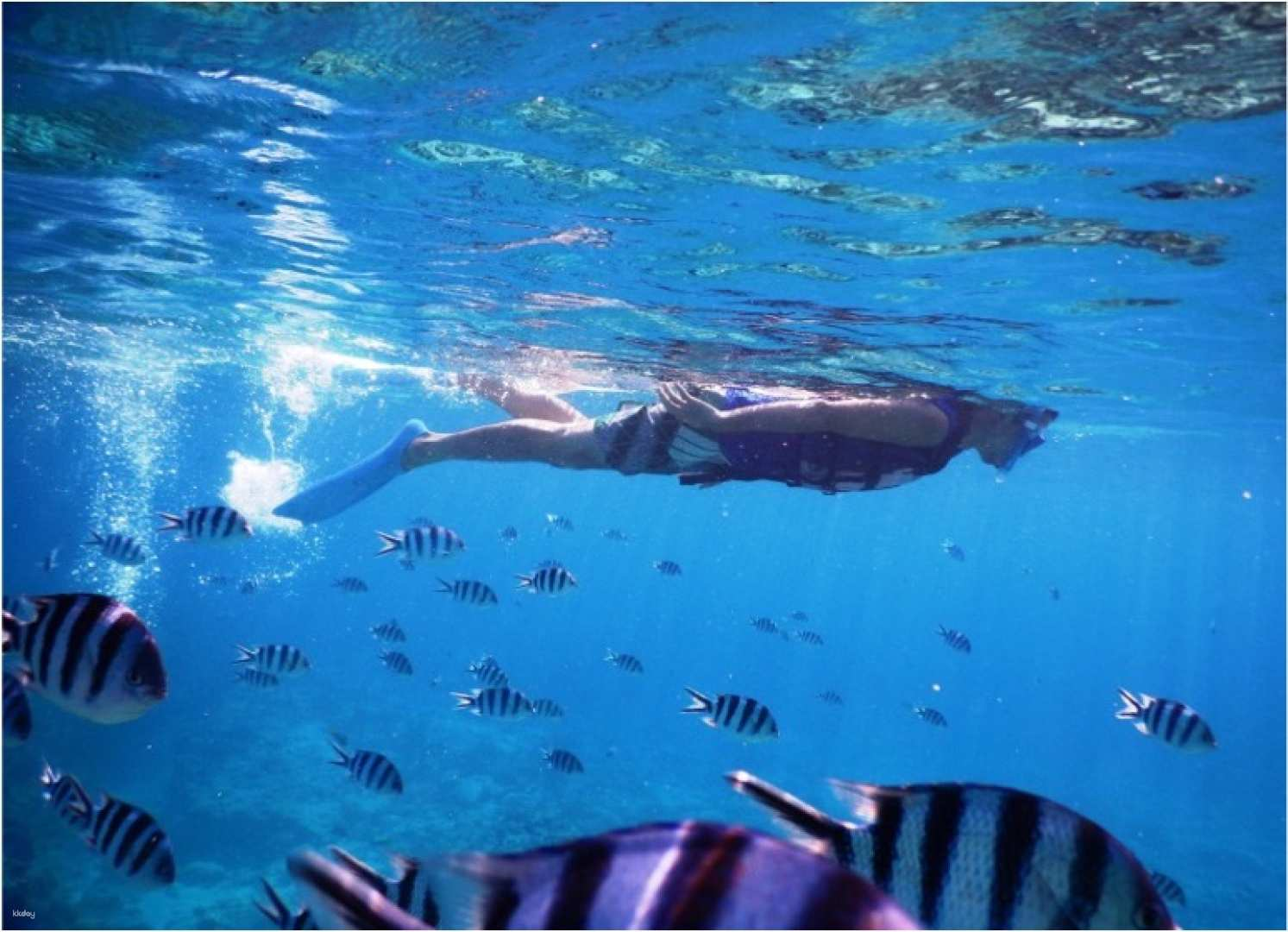 Okinawa | Naha departure snorkeling + marine sports 1 item - Photo 1 of 2