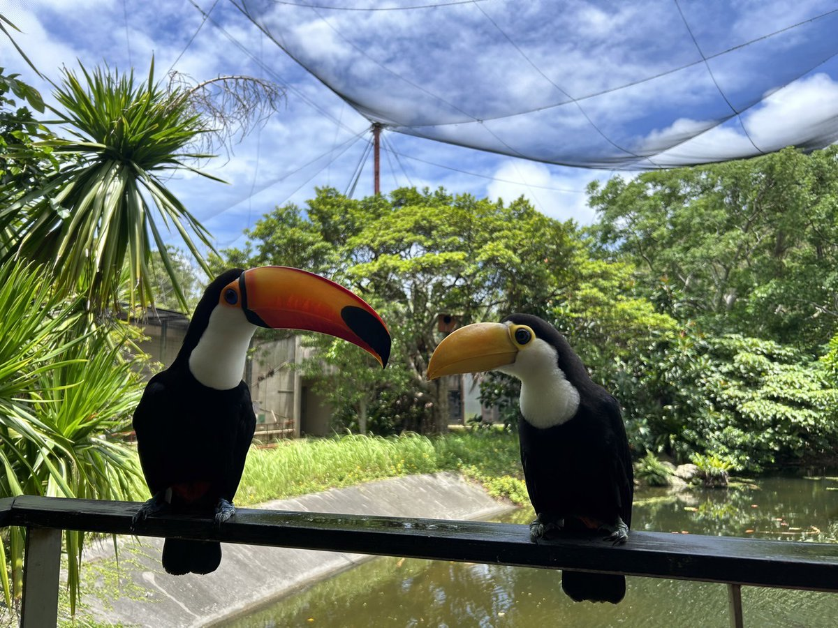 Okinawa Neo Park Okinawa Admission E-ticket [Up to 100 yen discount] - Photo 1 of 14