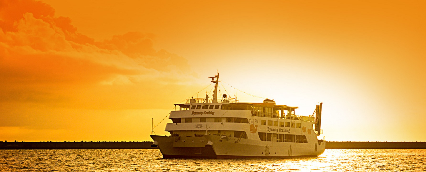 Okinawa Sunset and Night View Moby Dick Dinner Cruise - Photo 1 of 21