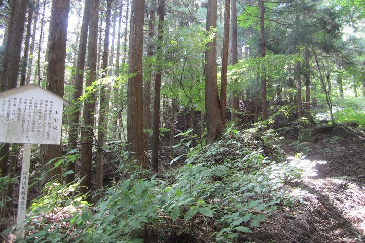 Old Nakasendo trekking from Karuizawa-Beyond Sugahi Pass to Sakamoto Hotel- - Photo 1 of 7