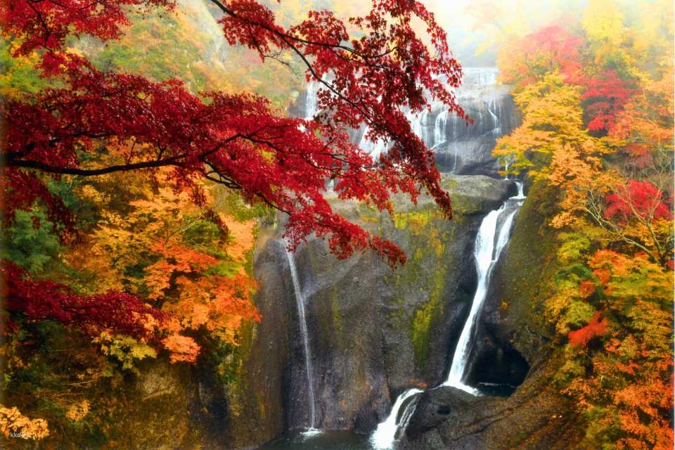 [One-day maple viewing tour from Ibaraki] Hitachi Maple Leaf Famous Spots｜Fukuroda Waterfall, one of Japan’s three most famous waterfalls, and Ryujin Suspension Bridge (includes Ibaraki’s special lunch)｜Departs from Tokyo and Shinjuku - Photo 1 of 5