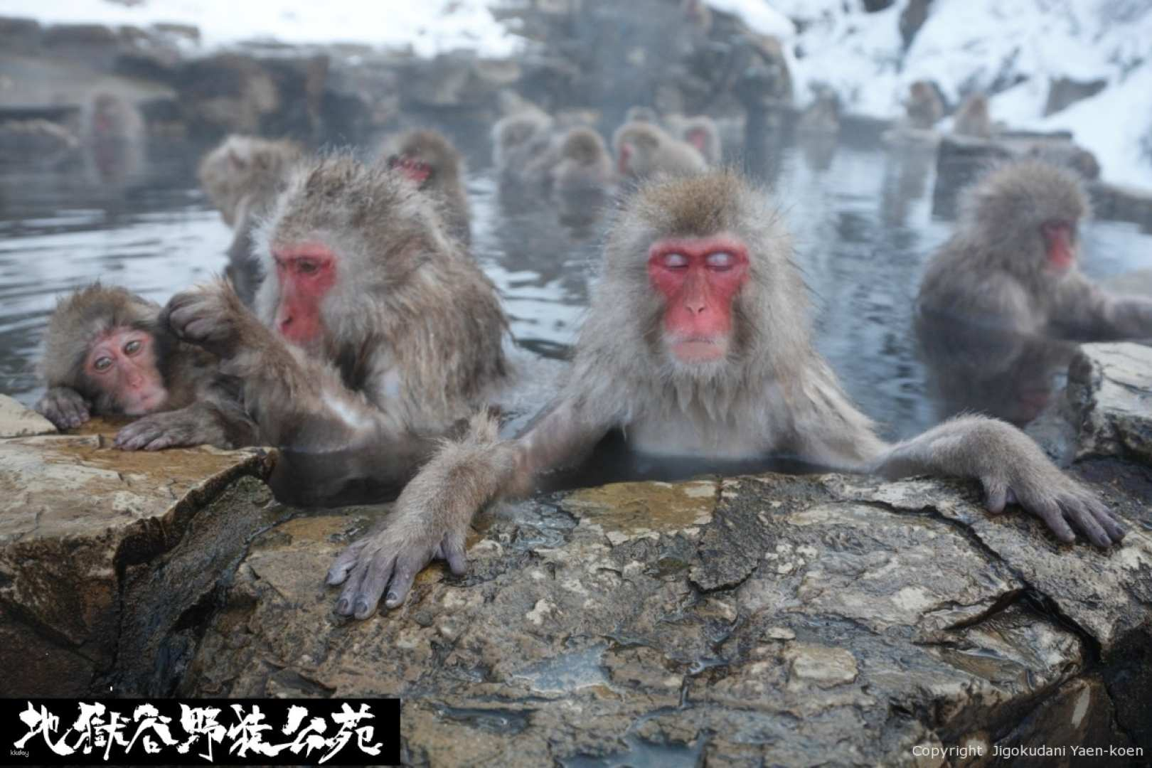 One-day tour to Kamikochi, Japan｜Kamikochi, the Furusato of God and Zenkoji Temple, a national treasure of Japan｜Depart from Nagano Station - Photo 1 of 10