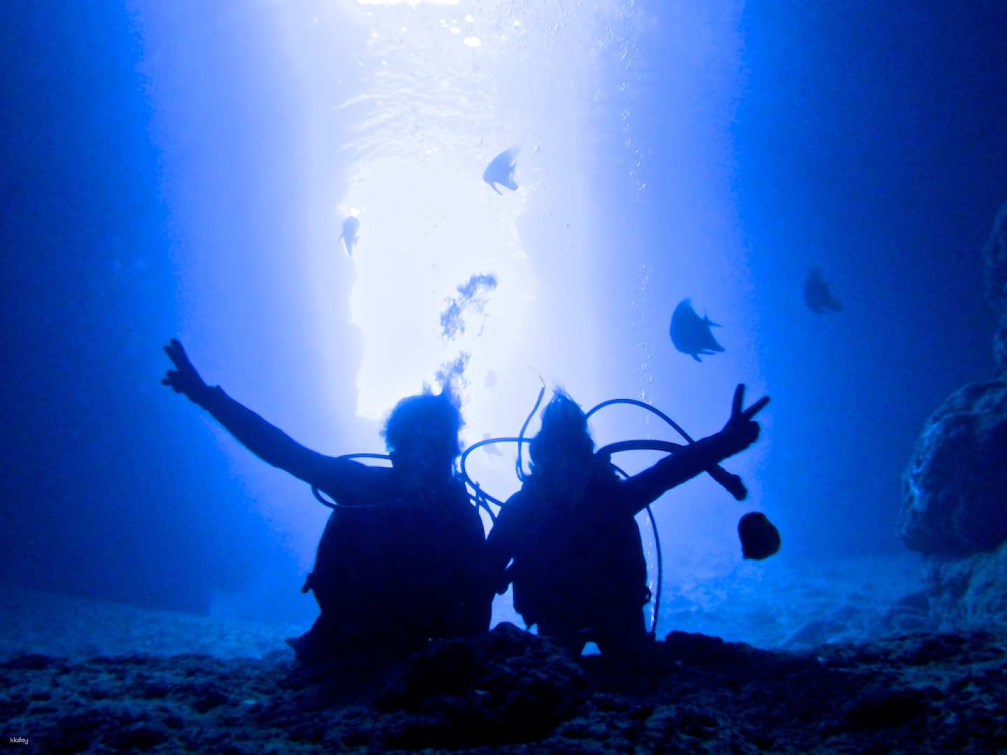 Experience the serene beauty of underwater exploration at the Blue Cave where skilled instructors cater to beginners ensuring comfort and joy in every dive. Free photos capture your adventure!