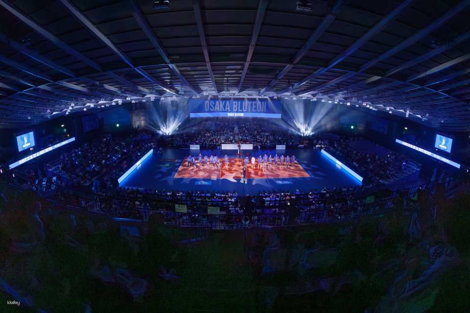 Osaka Bulteon Home Game Volleyball Ticket - Photo 1 of 9