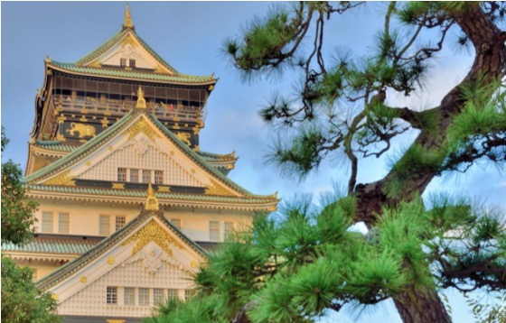 Experience the rich history of Osaka Castle where 16th-century architecture meets scenic gardens and stunning city views revealing the heart of Japan's cultural legacy.