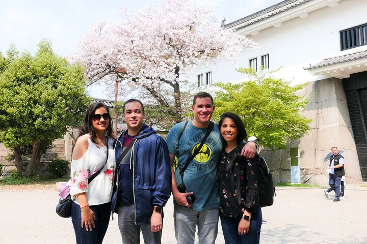 Osaka Castle and Sumiyoshi Taisha Shrine Private Half-Day Tour - Photo 1 of 13
