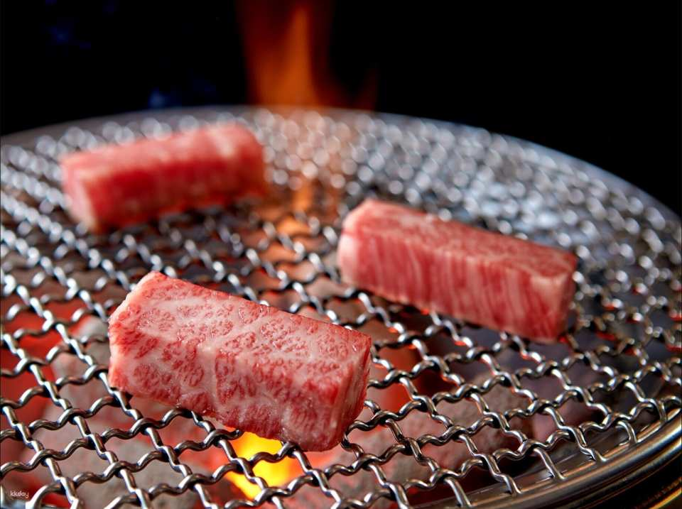 Osaka, Japan｜Hida Beef Ichitoya Babushi Ichidai KITTE Osaka - Photo 1 of 7