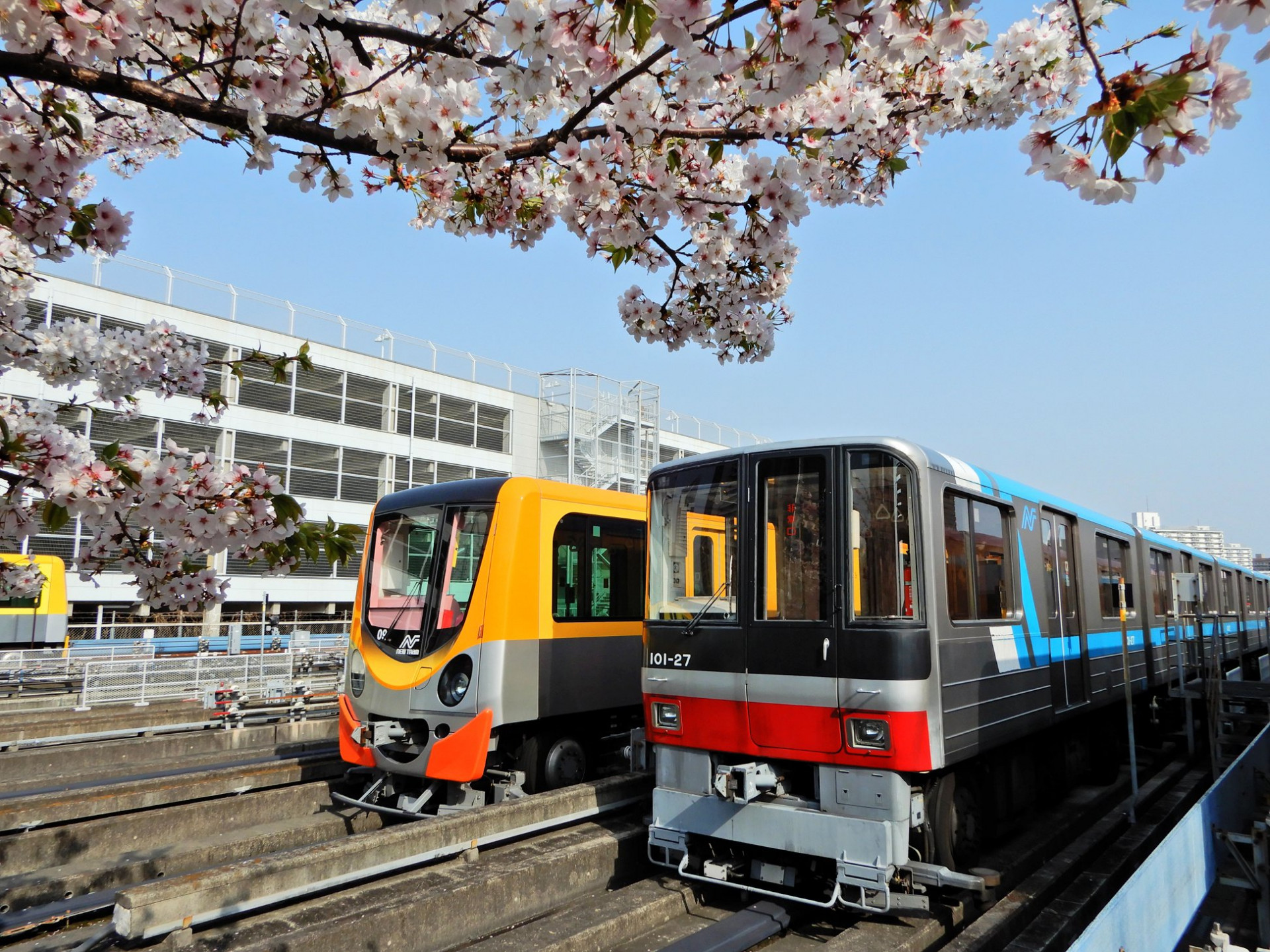 Unlock the beauty of Osaka as cherry blossoms frame your journey. The Osaka Metro Unlimited Tourist Pass offers effortless travel to explore the city's must-see landmarks and cultural treasures.
