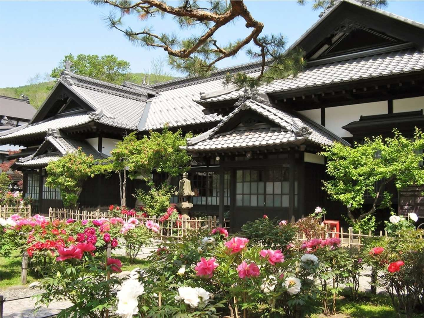 Step into a century-old masterpiece at Otaru Kihinkan where Meiji period architecture meets serene gardens offering a glimpse into Japan's rich cultural heritage and artistic legacy.