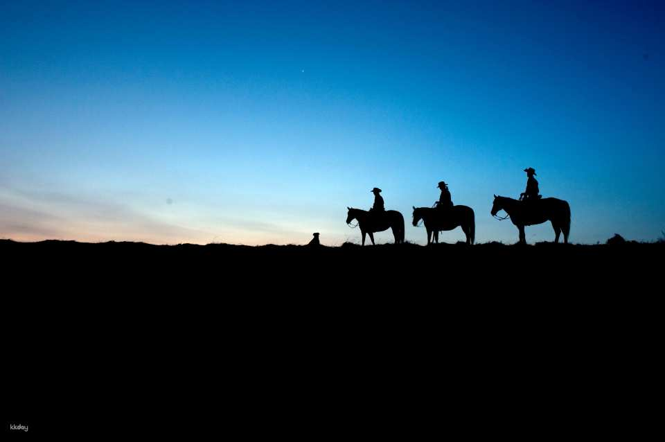 Otohime Starlight Trekking Day Trip Nature Experience Tour (Aso City, Kumamoto Prefecture) - Photo 1 of 2