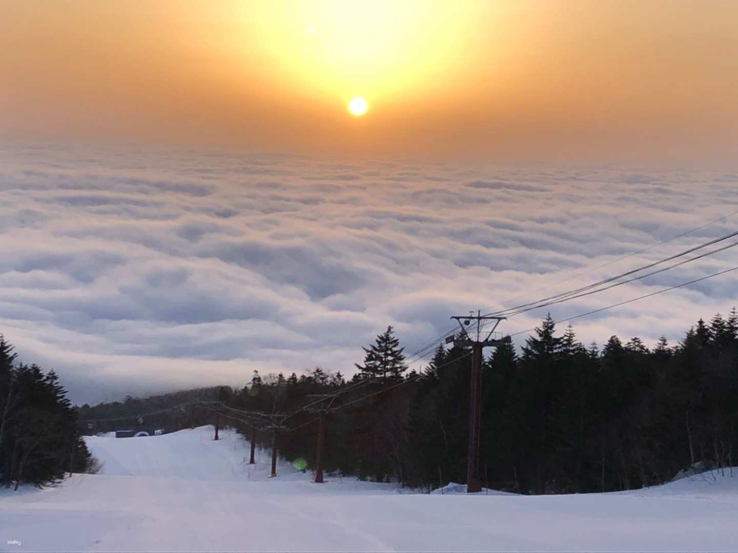 Palcall Tsumagoi Resort: Early Bird Gondola Lift Ticket at Tsumagoi Village in Gunma Prefecture | Japan - Photo 1 of 1