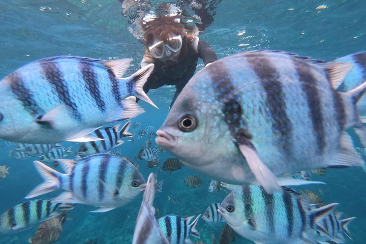 Snorkeling in the Blue Cave area【Okinawa Prefecture: Free feeding & photo images!English and Chinese speaking guide available! - Photo 1 of 12