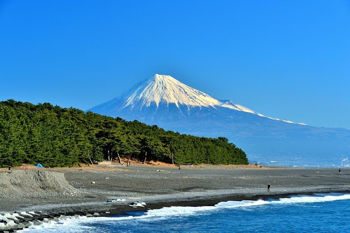 Port Pick-Up: Shizuoka Tour with Licensed Guide and Vehicle - Photo 1 of 6