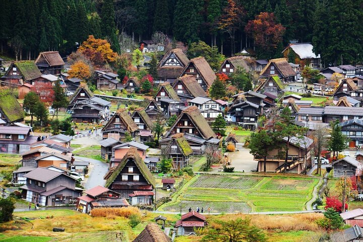 Experience the stunning landscapes of Takayama and Shirakawa-go where traditional architecture meets breathtaking mountain scenery immersing you in a rich cultural journey through history.
