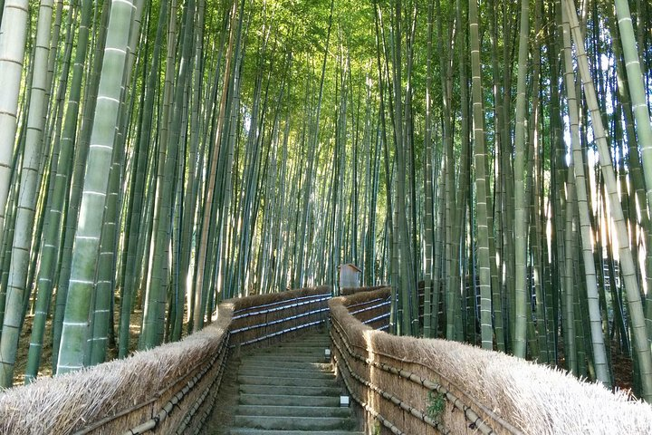 Explore the serene pathways of Kyoto's bamboo groves where the towering stalks invite quiet reflection and a connection to nature perfect for memorable travel moments.