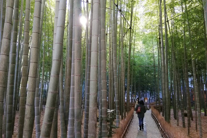 Bamboo grove, Houkokuji Temple, Michelin Green Guide three star 