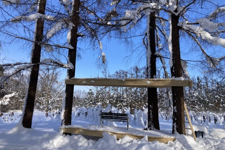 Hokkaido Heritage: Ebetsu Brick Tour & Winter BBQ Experience - Photo 1 of 5