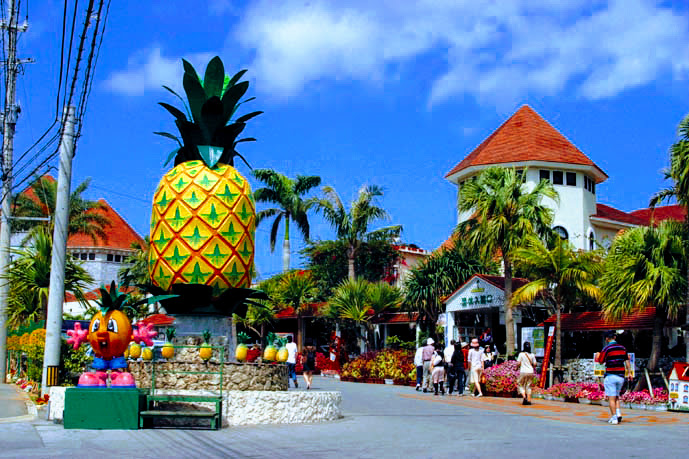 Rado Churaumi | Churaumi Aquarium & Ultimate Okinawa Experience Bus Tour - Photo 1 of 10