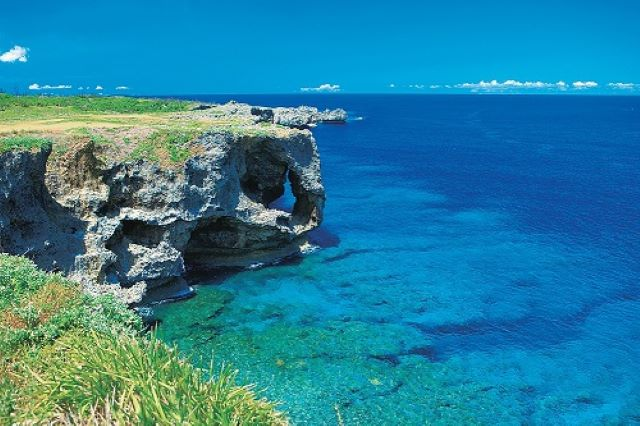 Regular Sightseeing Course B - Ocean Expo Park(Churaumi Aquarium) & Nakijin Castle Ruins - Photo 1 of 10