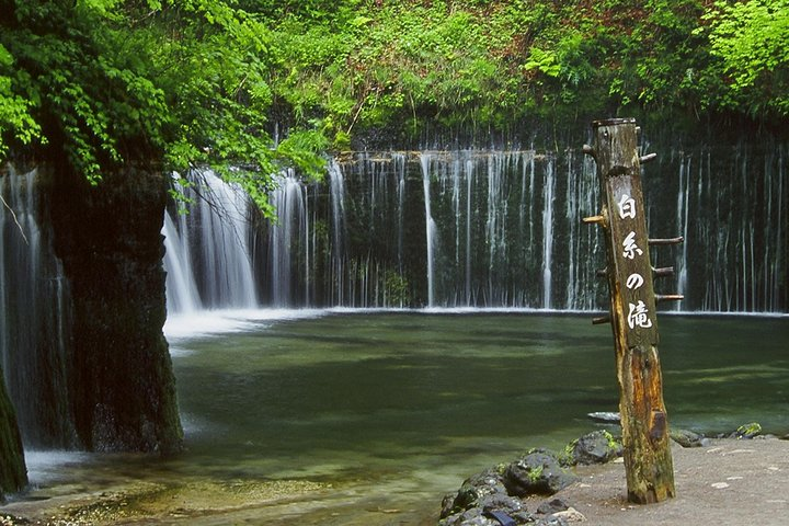 Relax and refresh in Karuizawa Forest! Shinanoji down trekking around two people - Photo 1 of 6