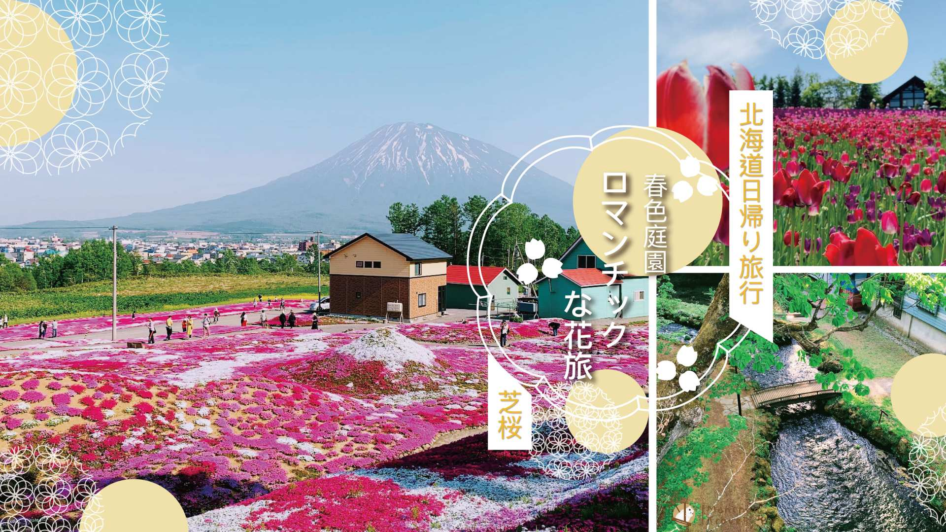 [Romantic Spring Limited] Hokkaido Shibazakura Tulip Gardens Day Tour | Kutchan & Niseko & Yoteiyama Famous Water Park & ​​Takino Suzuran Hillside Park & ​​Jozankei (with special lunch) | Depart from Sapporo - Photo 1 of 10