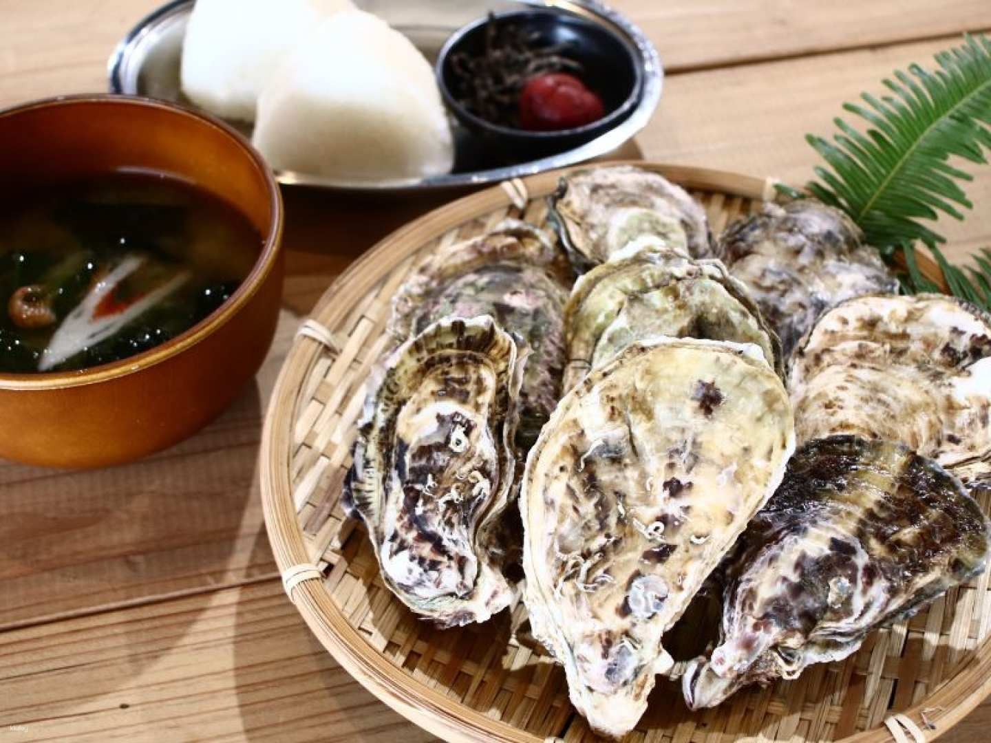 [Route bus trip] Limited time offer! Winter delicacy "Oyster" grilled lunch (Departing from Kumamoto) - Photo 1 of 5