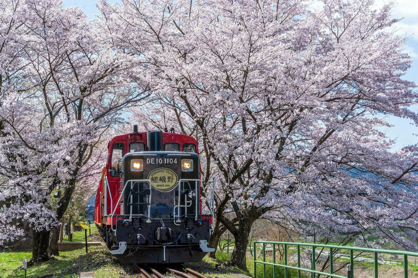 Sagano Romantic Train: One-Way Ticket - Photo 1 of 3