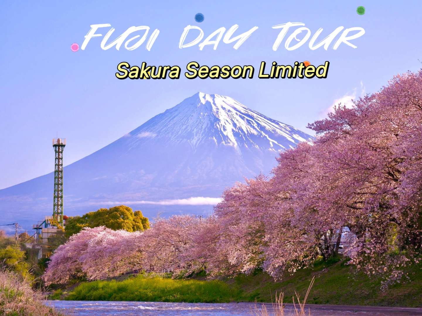 [Sakura Limited] Mt. Fuji Hakone Cherry Blossom Day Tour | Open-Air Museum, Hayakawa Embankment, Hakone Shrine, and Ryuganen One-Day Tour (Departing from Tokyo) - Photo 1 of 6