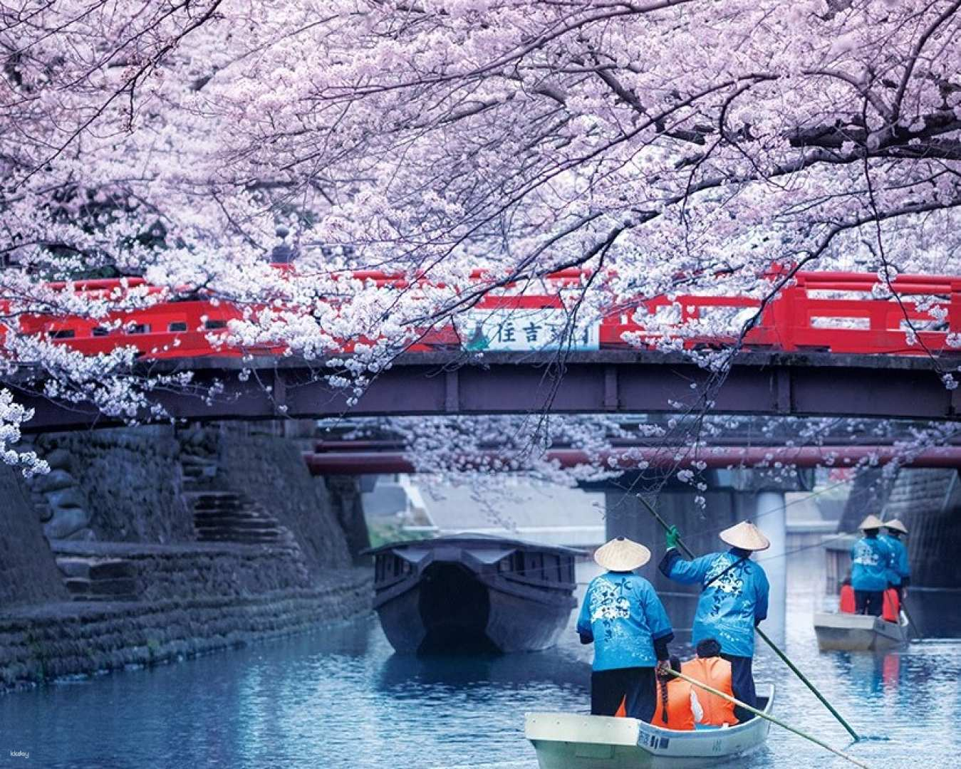 Sakura Magic and  Nabana no Sato 1Day Bus Tour from Osaka - Photo 1 of 10