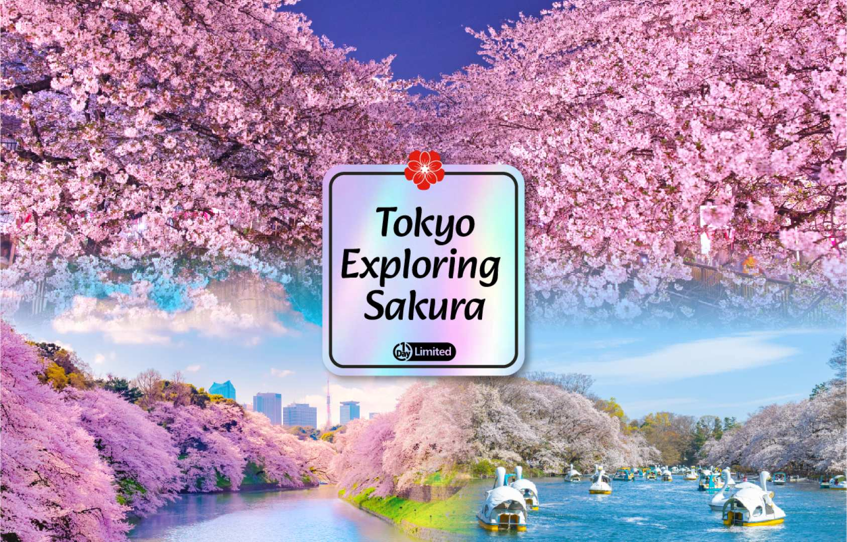 [Sakura Season Exclusive] Tokyo Cherry Blossom One-Day Tour｜Beautiful ...