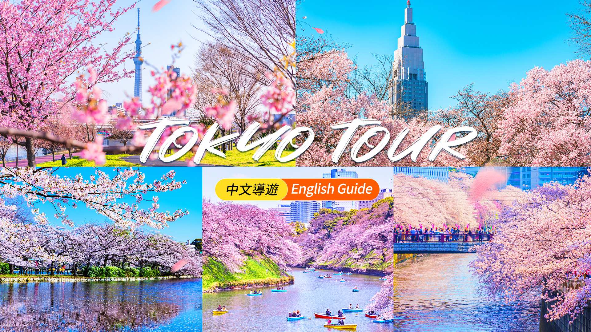 [Sakura Season Only] Tokyo Cherry Blossom Viewing Day Tour | Shinjuku Gyoen National Garden, Chidorigafuchi Park, Ueno Park, Sumida Park, Meguro River | See all five famous cherry blossom spots (Departure from Tokyo) - Photo 1 of 10
