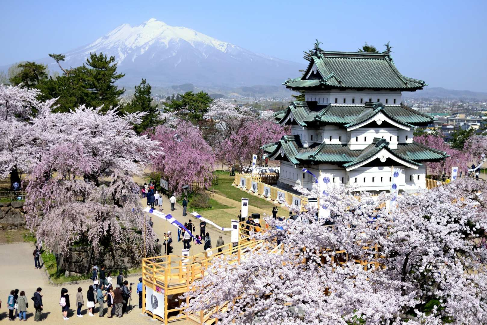 Same travel price for single room per person! Conquer the "Three Great Cherry Blossom Spots of Michinoku" in a 2-day, 1-night tour of the five best cherry blossom spots in Tohoku (departing from Tokyo and arriving in Tokyo / departing from Sendai and arriving in Morioka) - Photo 1 of 4