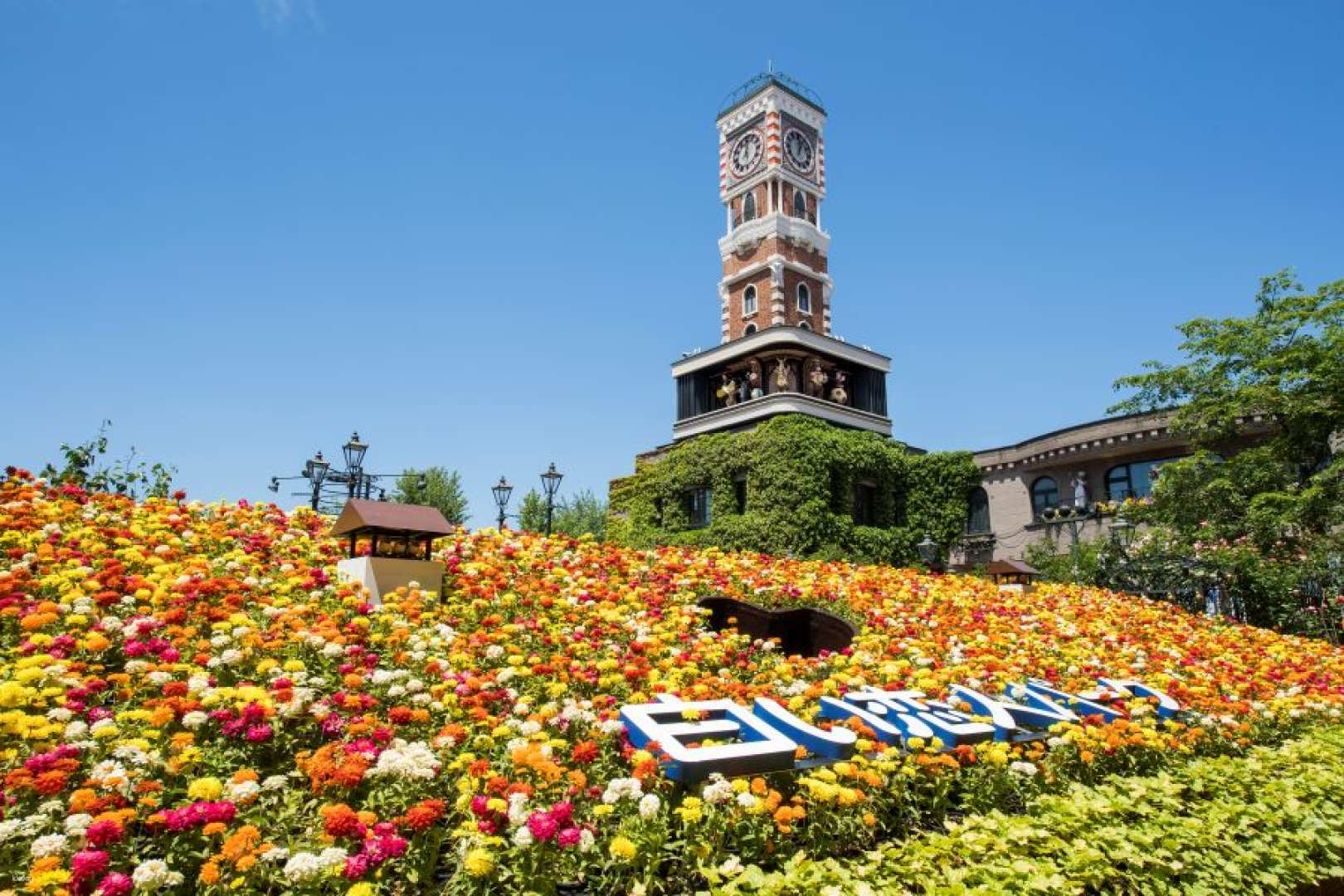 Sapporo Morning Tour/Shiroi Koibito Park and Central Wholesale Market Tour  (Multilingual Audio Tour) - Photo 1 of 13