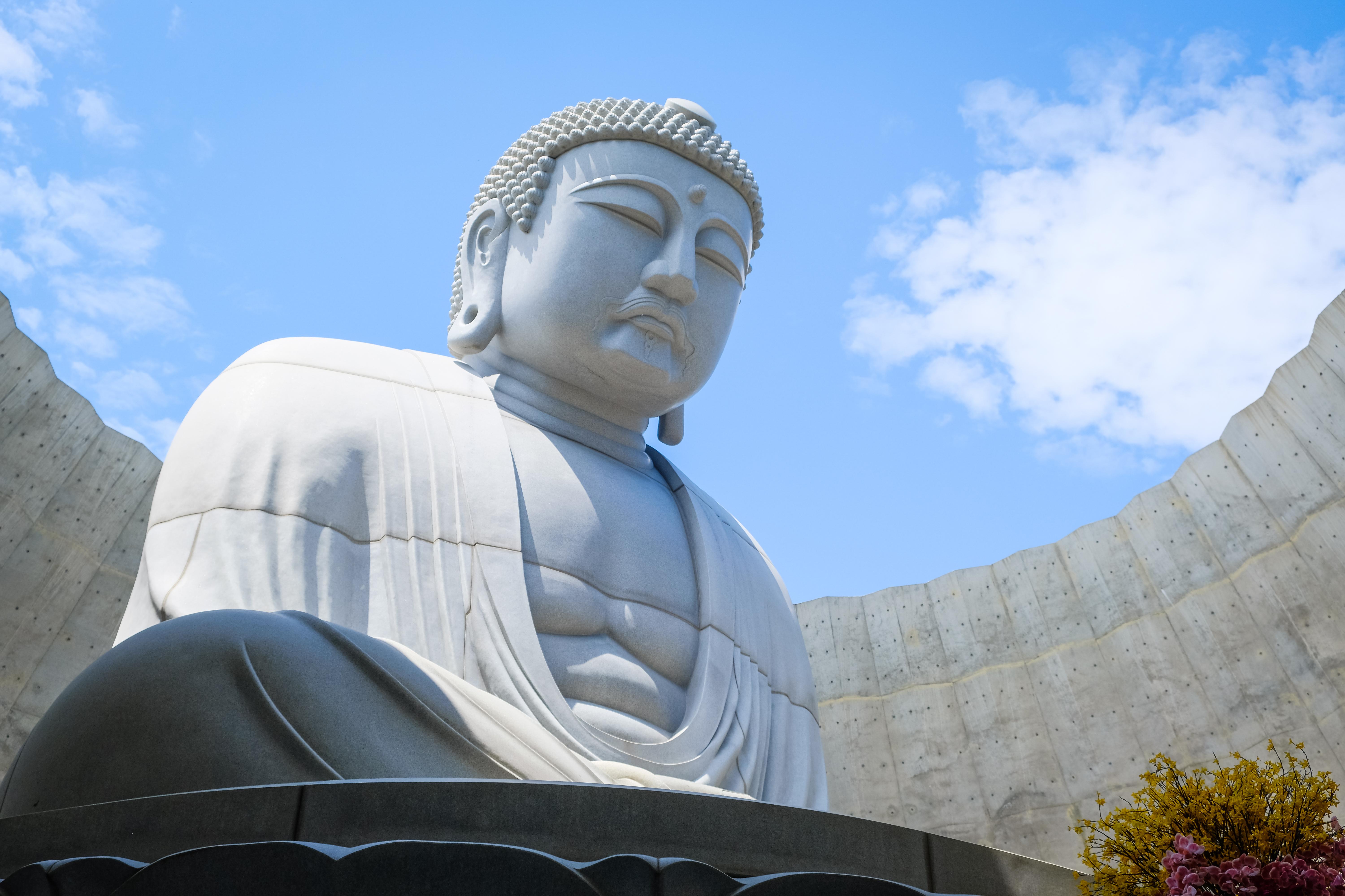 Sapporo & Otaru 1-Day Tour: Hokkaido Shrine, Hill of the Buddha & Vintage Otaru Streets - Photo 1 of 10
