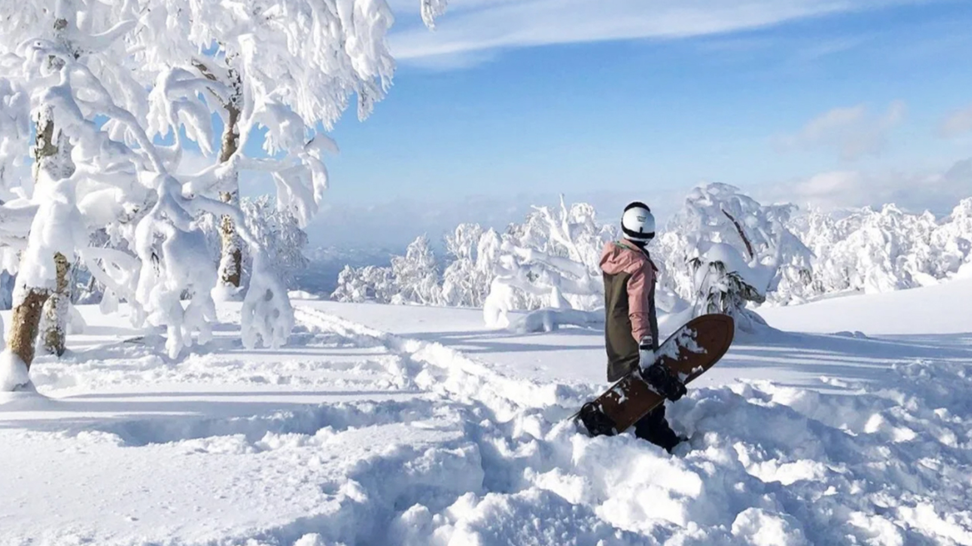 Experience the joy of skiing at Sapporo International Ski Resort surrounded by stunning snow-laden trees and endless powder perfect for both skiing and snow activities in Hokkaido's winter scenery.