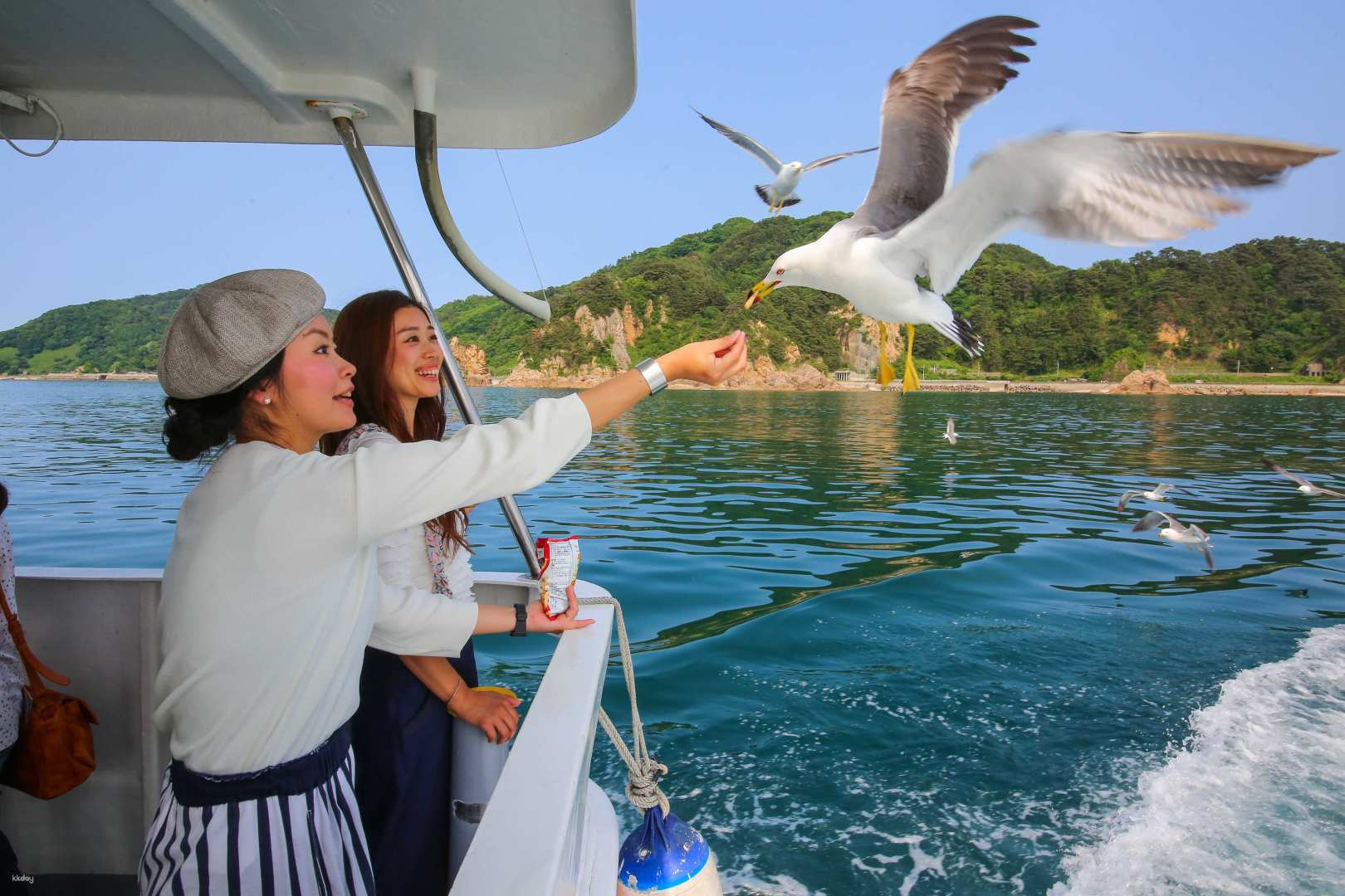 Niigata, Japan｜Sasagawa River Sightseeing Cruise Ticket - Photo 1 of 7