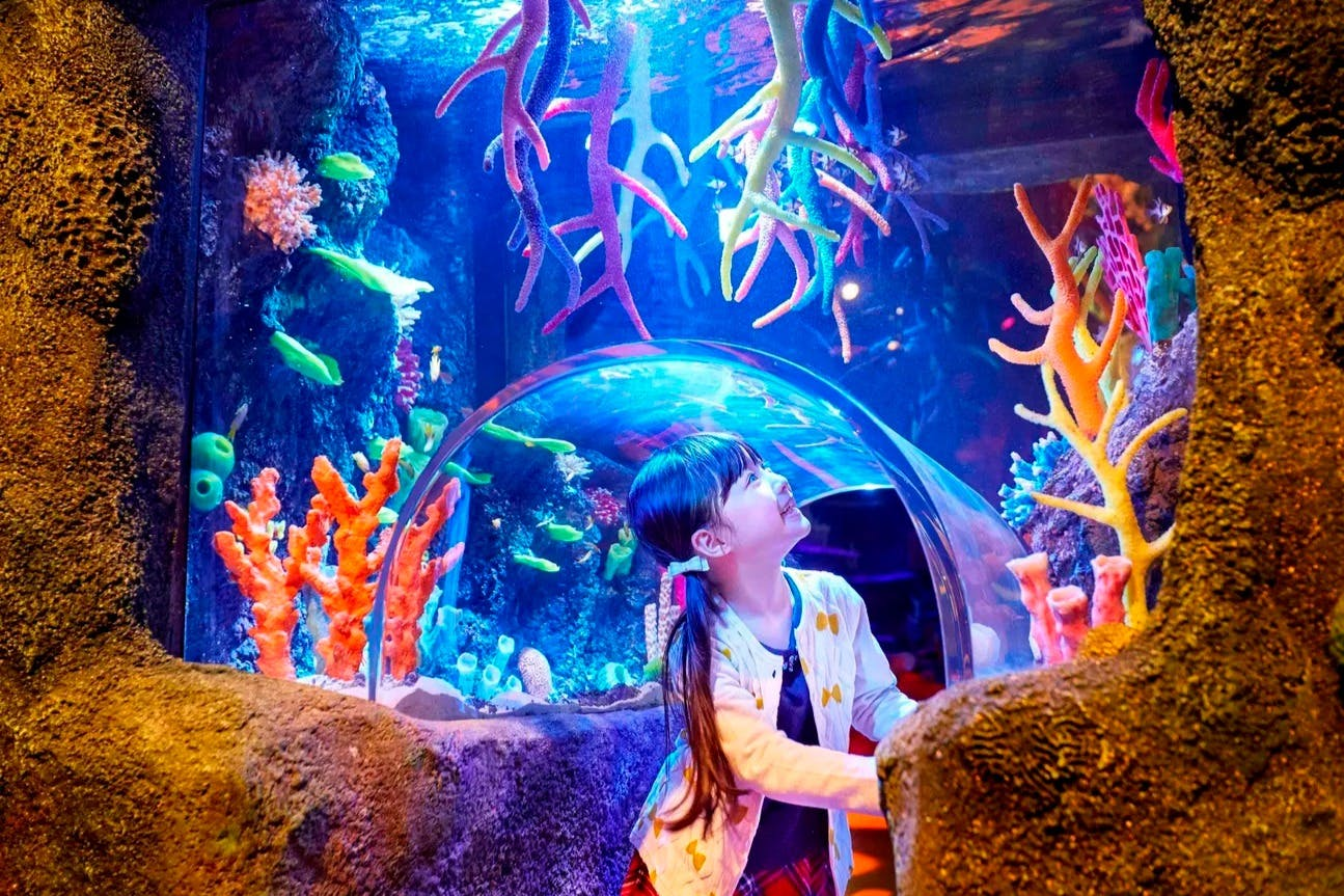 SEA LIFE Nagoya: Entry Ticket - Photo 1 of 4