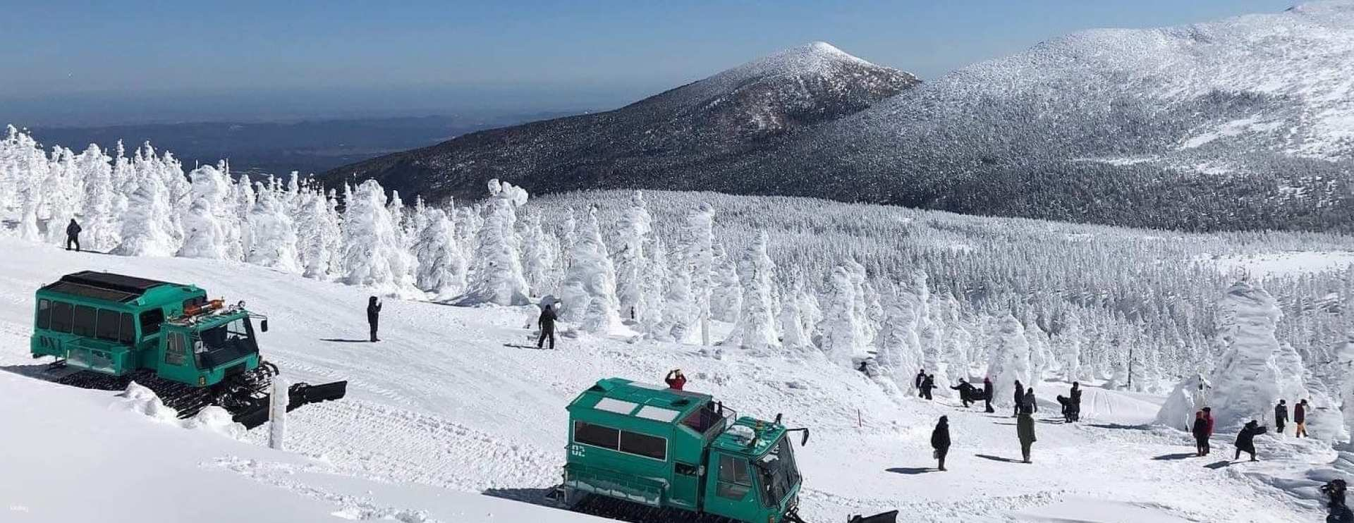 Japan Sendai: Miyagi Zao Snow Monsters Exploration Tour (From Sendai Station) - Photo 1 of 10