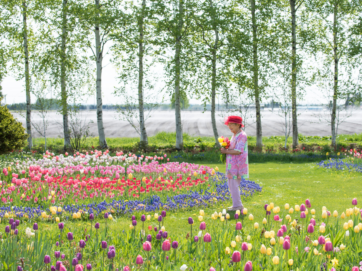 Shichiku Garden Enjoyment Plan Entrance Ticket and Lunch【Shichiku Garden Yuge】 - Photo 1 of 10