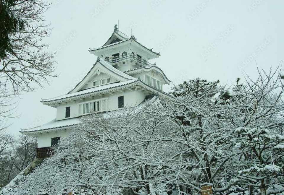 Shiga 1 Day Bus Tour with Snow, Nagahama Castle  and Illumination - Photo 1 of 9