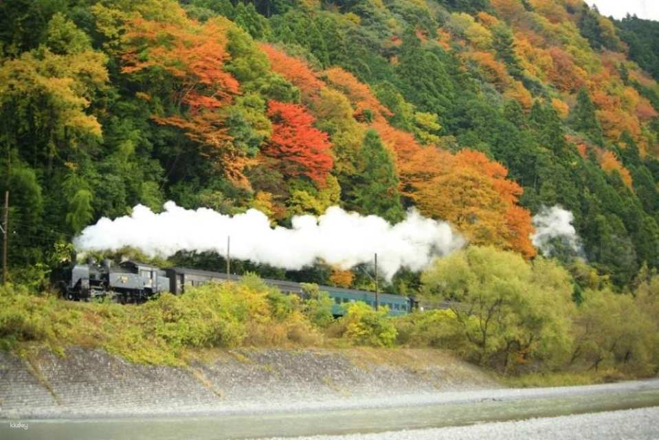 Shimada City Baranooka Park and Oguni Shrine, Enshu's premier autumn foliage spot, bathed in autumn colors! Oigawa Railway steam locomotive train (departing from Nagoya) - Photo 1 of 2
