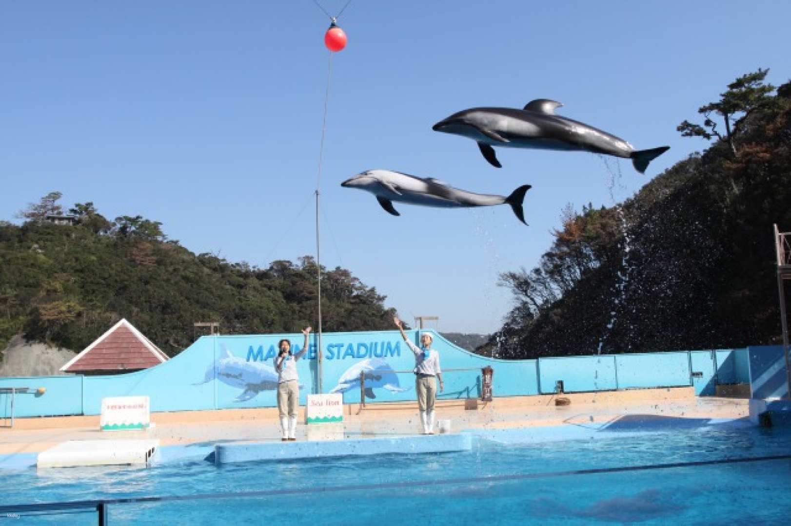 Shimoda Aquarium Admission Ticket｜Shizuoka, Japan - Photo 1 of 8