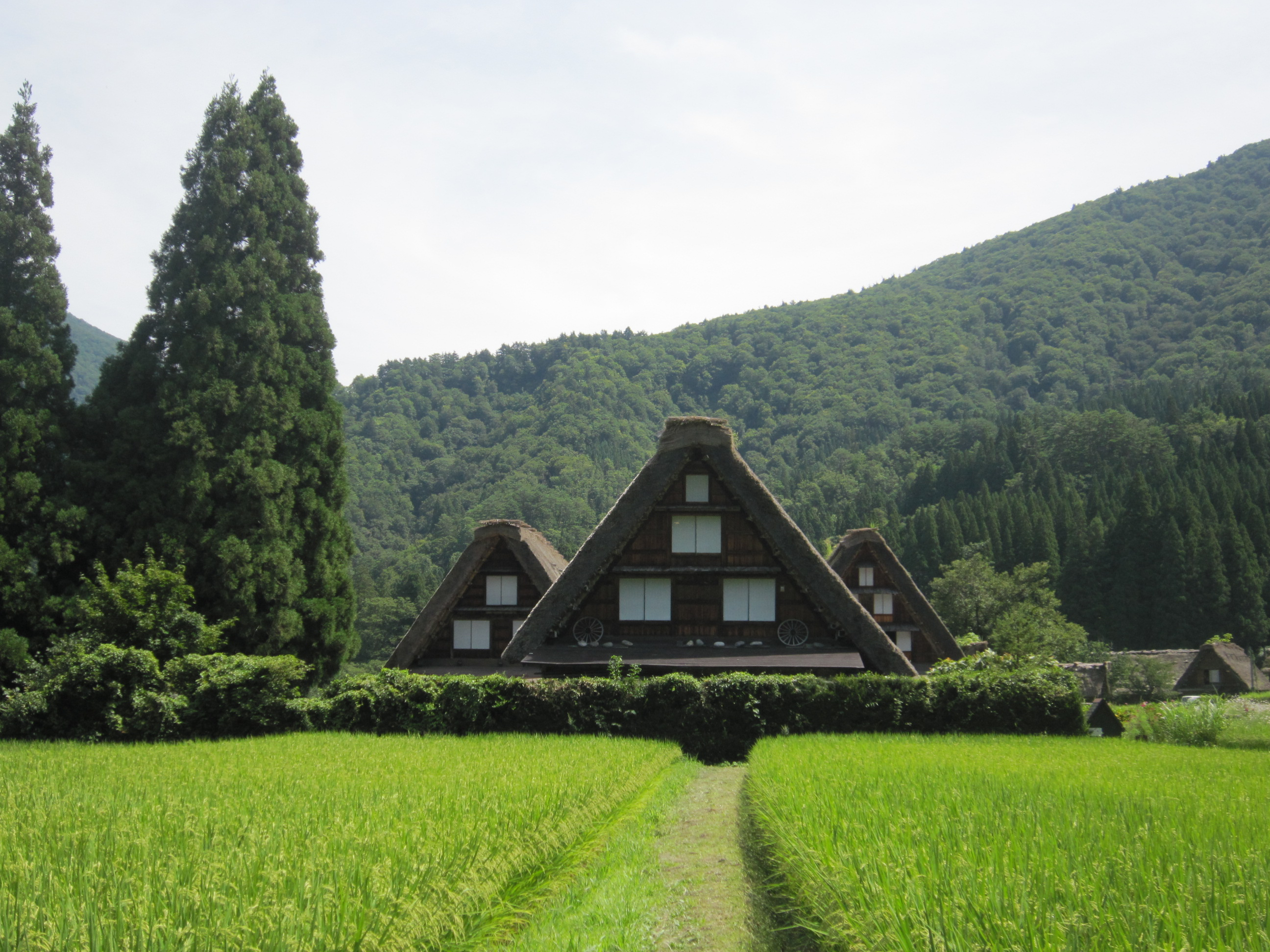 Shirakawa-go and Gokayama World Heritage  Village Tour <From/to Kanazawa Station / lunch included / accompanied  by an English-speaking guide> - Photo 1 of 15