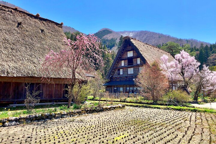 Shirakawago in April