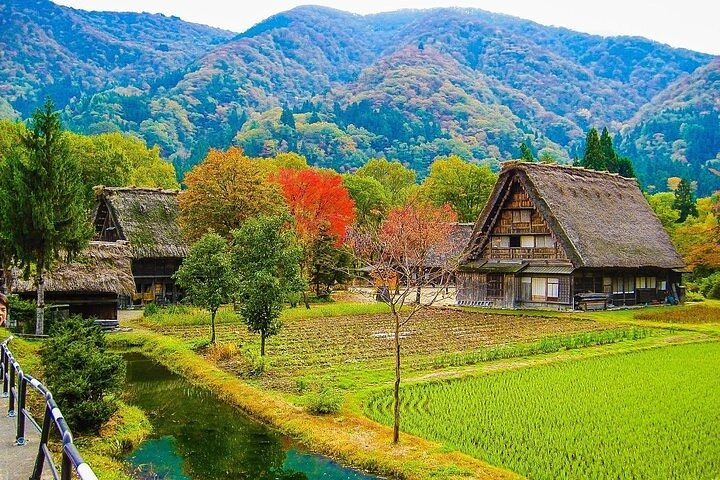 Experience the charm of Shirakawa-go's thatched roofs set against majestic mountains with picturesque rice fields reflecting traditional Japanese life inviting exploration and discovery in every season.